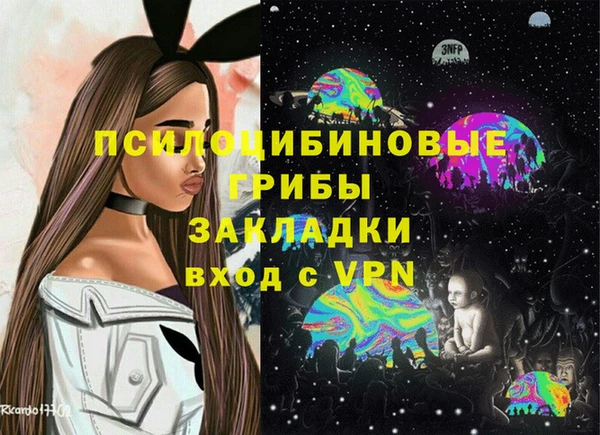МДПВ Володарск