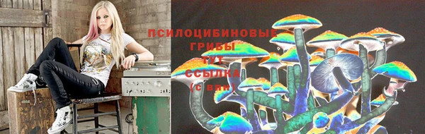 MDMA Premium VHQ Волоколамск